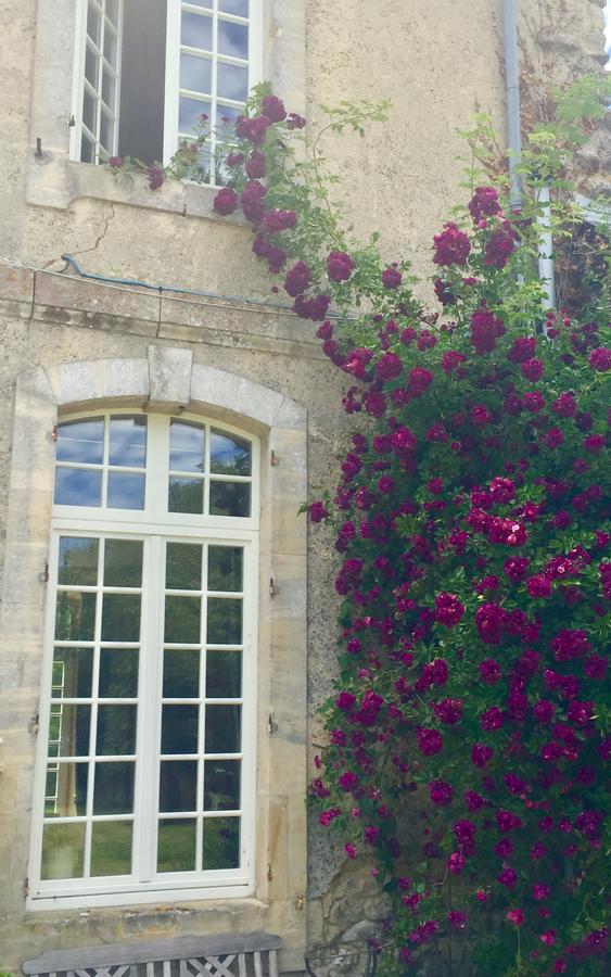 Villa L'Orangerie du Grand Jardin à Condé-sur-Seulles Extérieur photo